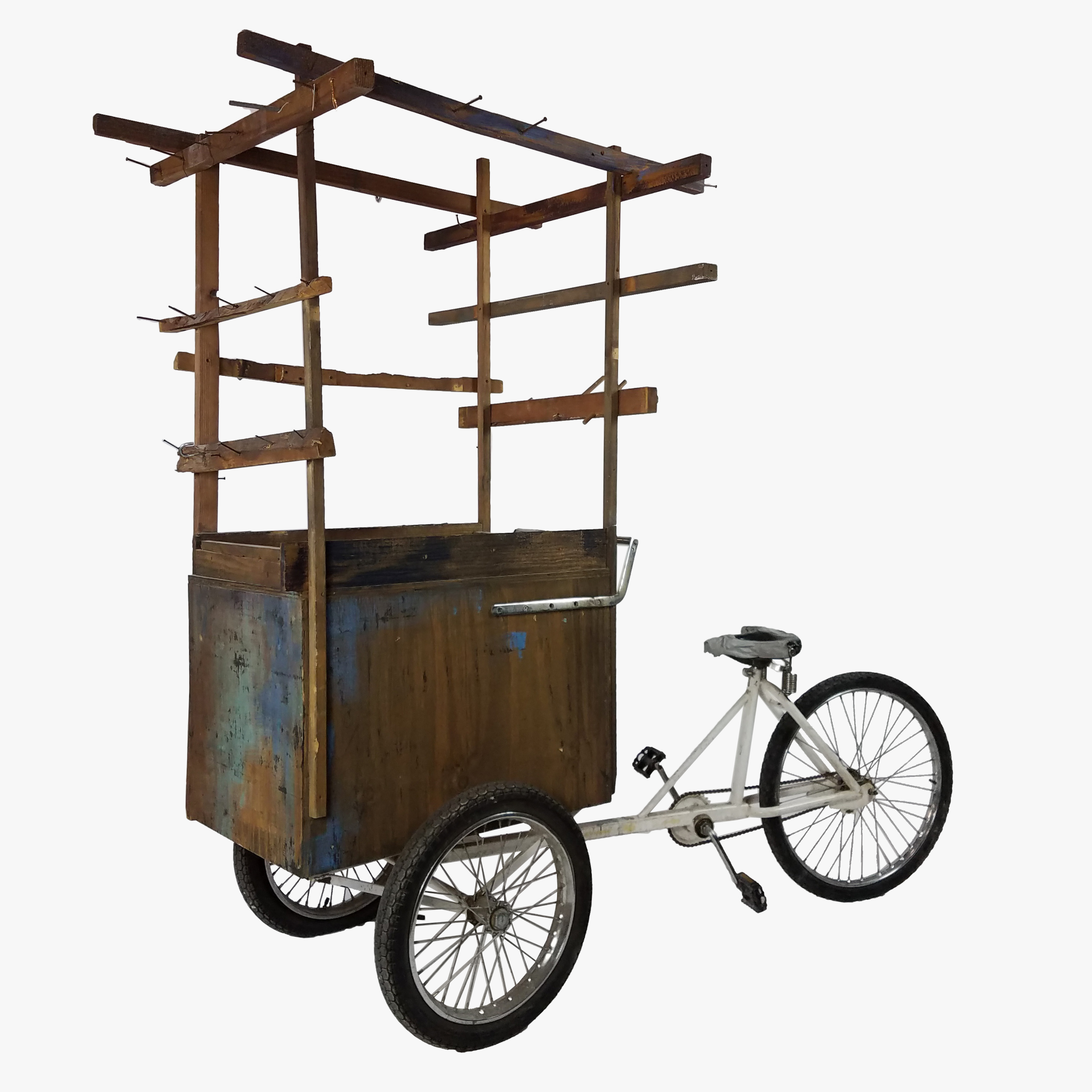 bicycle with cart